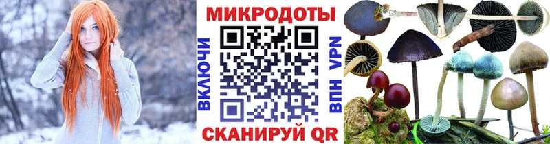 Галлюциногенные грибы мухоморы Пущино