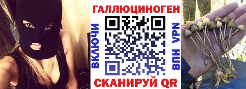 Купить где  Пущино  Галлюциногенные грибы Psilocybe 